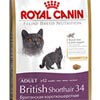 Royal Canin  British Shorthair 34