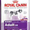 Royal Canin Giant Adult 28