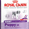 Royal Canin Giant Puppy 34