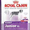 Royal Canin Giant Junior 31