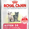 Royal Сanin Kitten 36