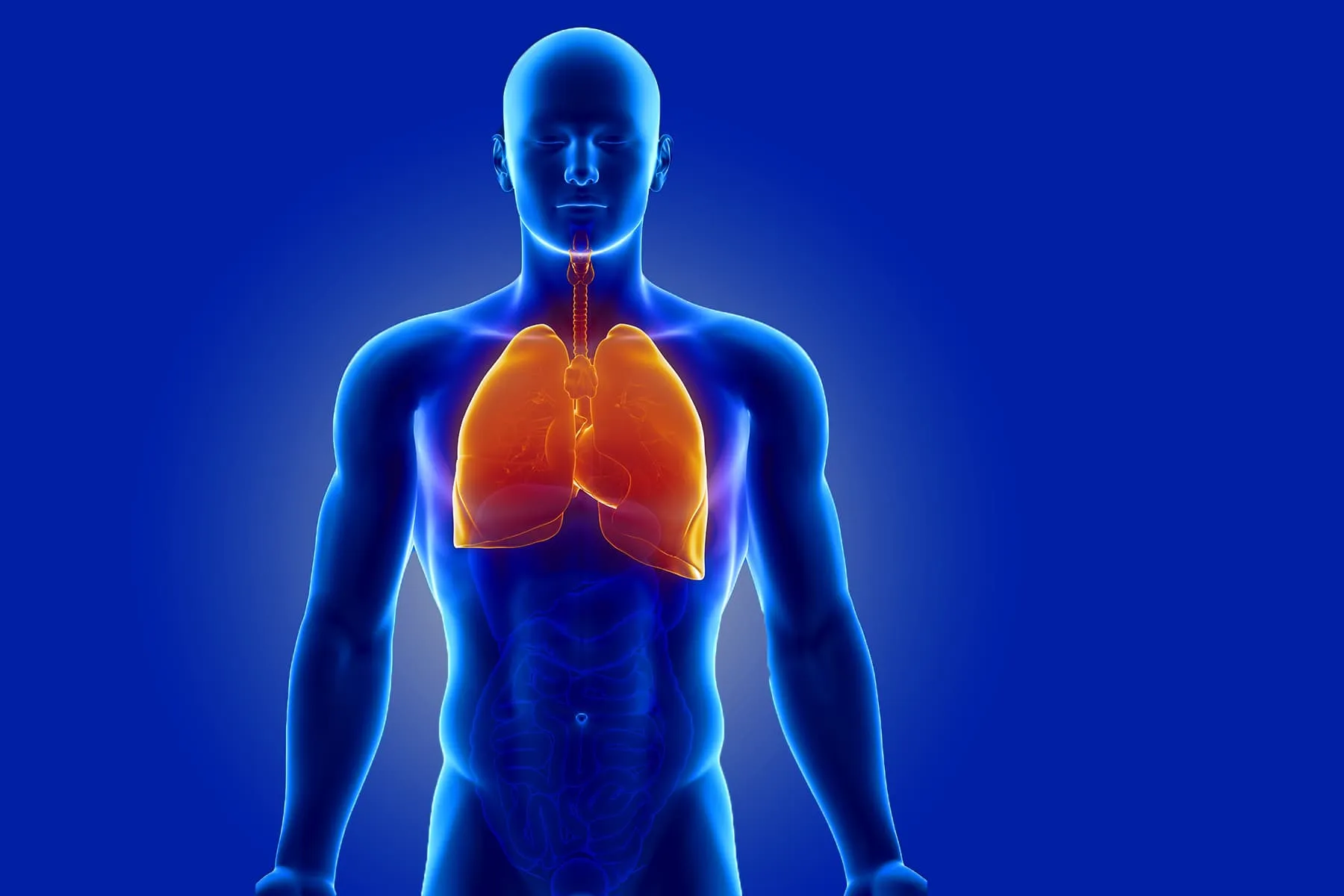 Lung Detox: Does It Really Work?