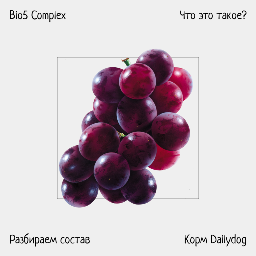 Что такое Bio5 Complex в составе корма Dailydog?